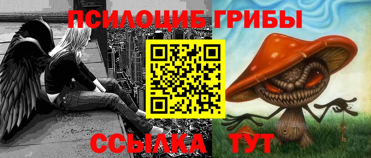 Галлюциногенные грибы Magic Shrooms Химки