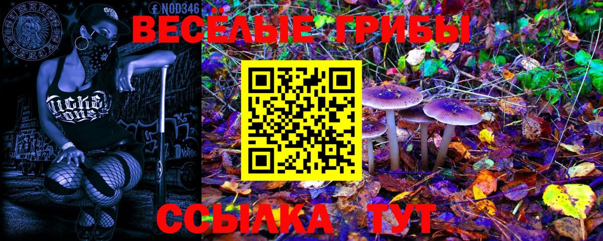Химки  Галлюциногенные грибы Psilocybine cubensis  где найти   Псилоцибиновые грибы ЛСД  Вход с VPN 